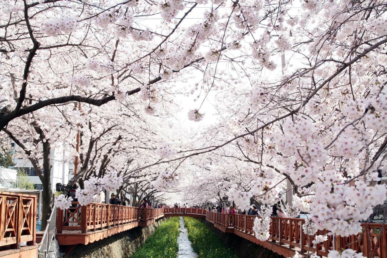 Hotel Avenue Changwon Exteriör bild